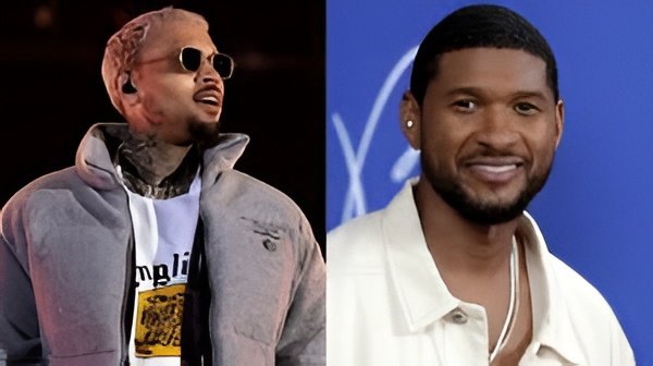 chris brown and usher tour 